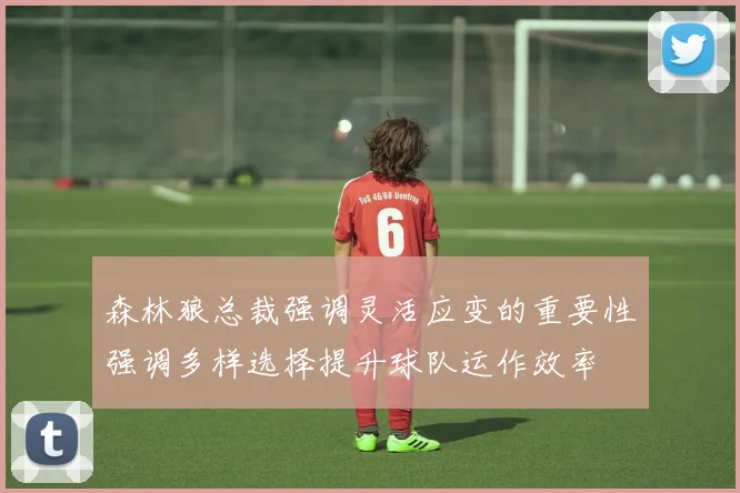 森林狼总裁强调灵活应变的重要性强调多样选择提升球队运作效率